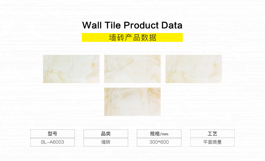 衛生間內墻磚 金斯敦