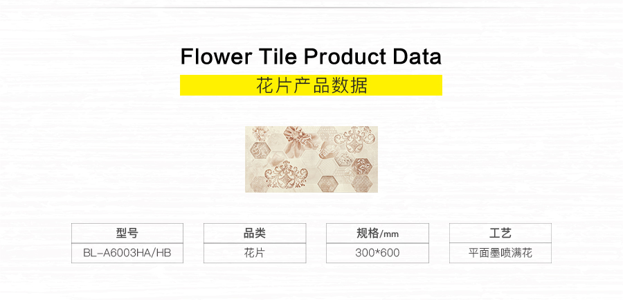 衛生間內墻磚 金斯敦