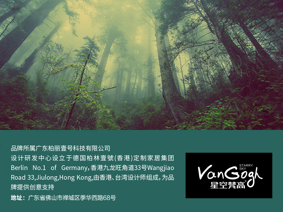 星空梵高 輕奢風(fēng)格 頭層真皮軟床 夢之巴黎 YP603#