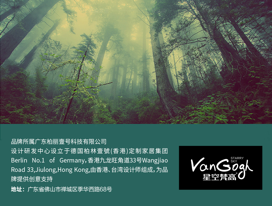 星空梵高 現代簡約雙人床實木床 荷蘭晨風 TB-109#床